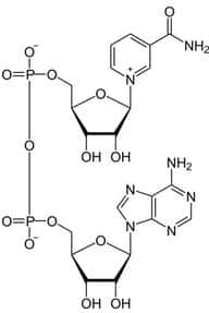 Nad+ Molecule