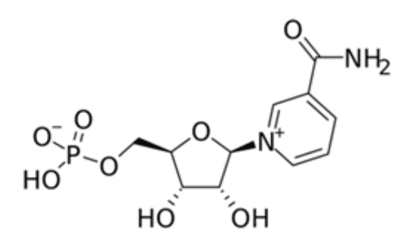 Nmn Molecule