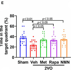 nmn metformin rapamycin 1