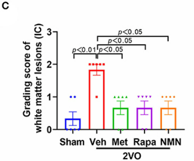 nmn metformin rapamycin 2 1