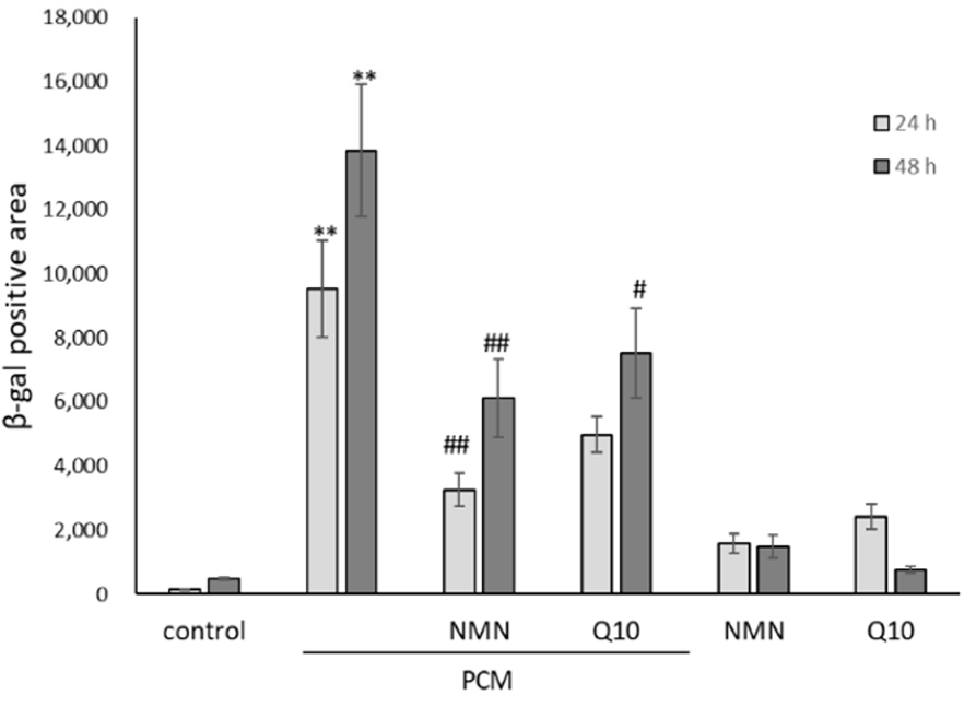 nmn skin aging 2