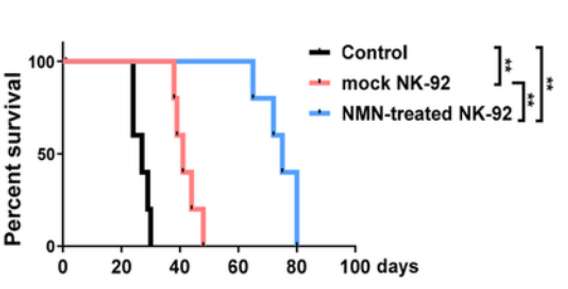 nmn tumor suppression 1